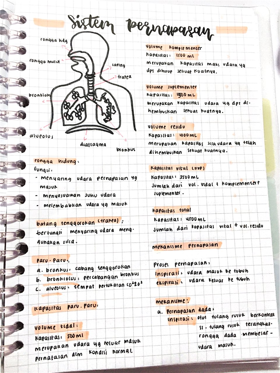 Sistem Ekresi dan Pernapasan kelas 8 - halaman 2