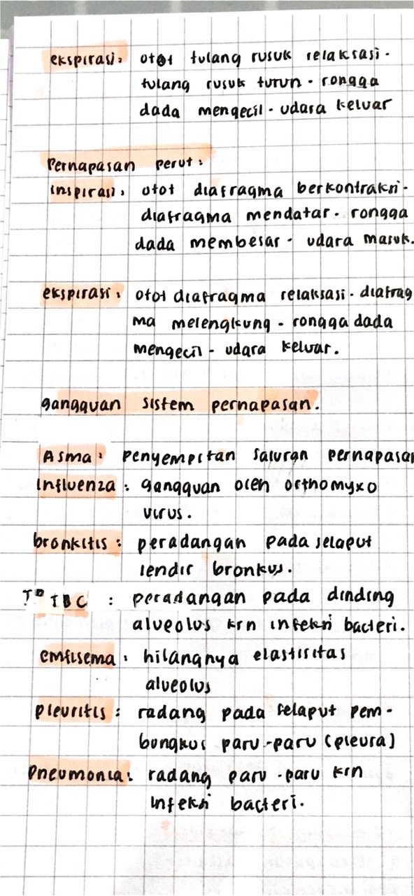 Sistem Ekresi dan Pernapasan kelas 8 - halaman 3