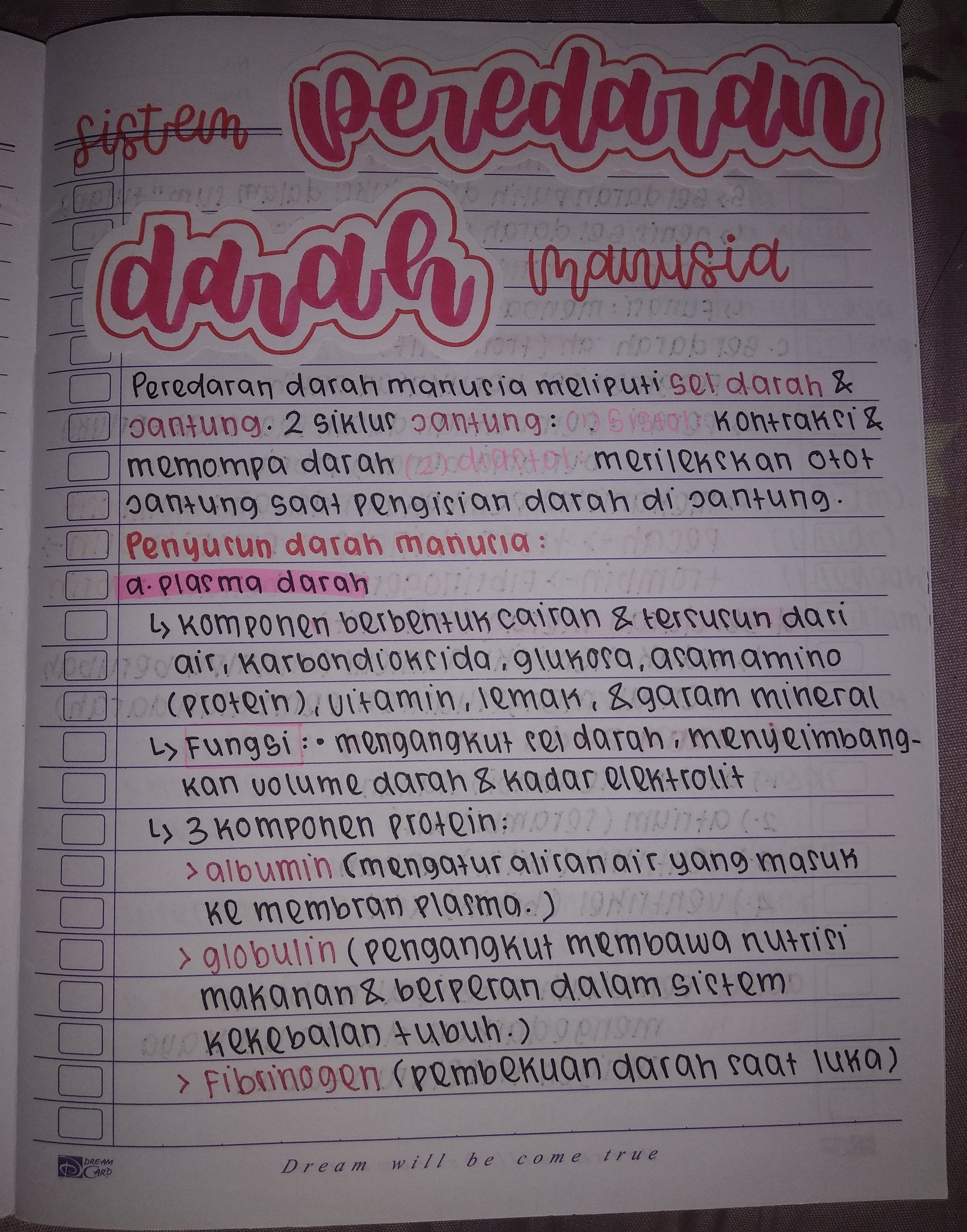 Sistem Peredaran Darah Kelas 8