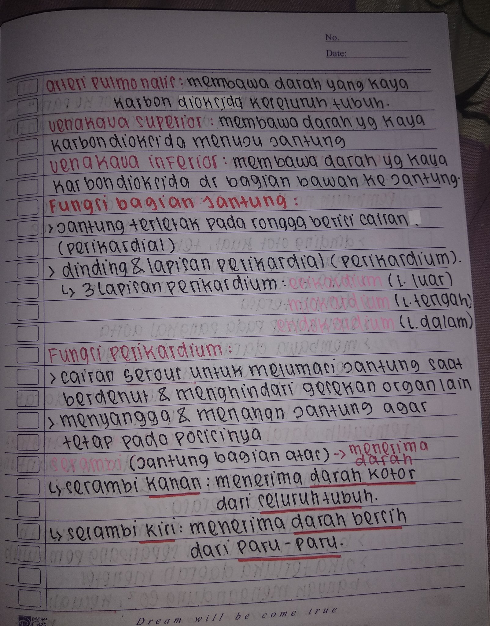 Sistem Peredaran Darah Kelas 8 - halaman 3
