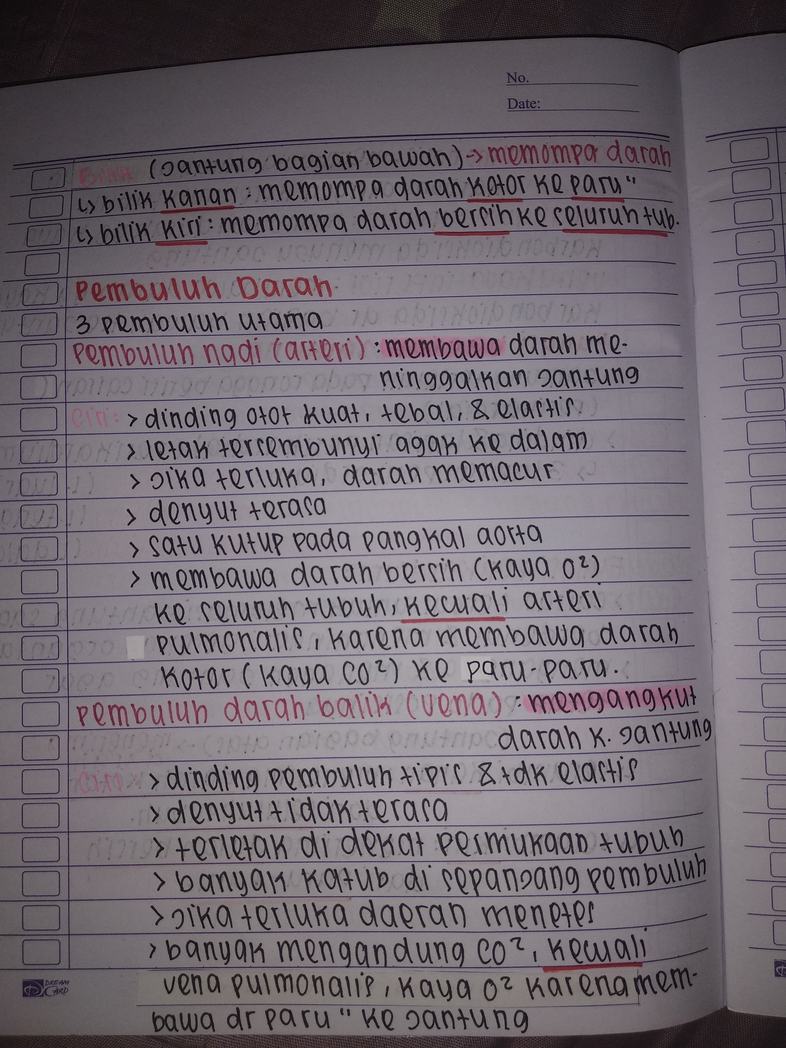 Sistem Peredaran Darah Kelas 8 - halaman 4