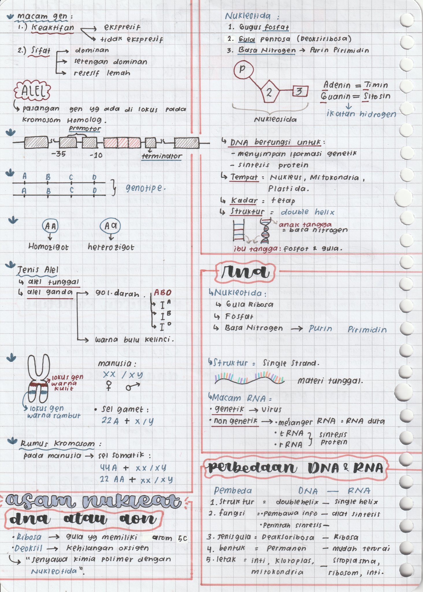 Substansi Materi Genetika Kelas 12 - halaman 2