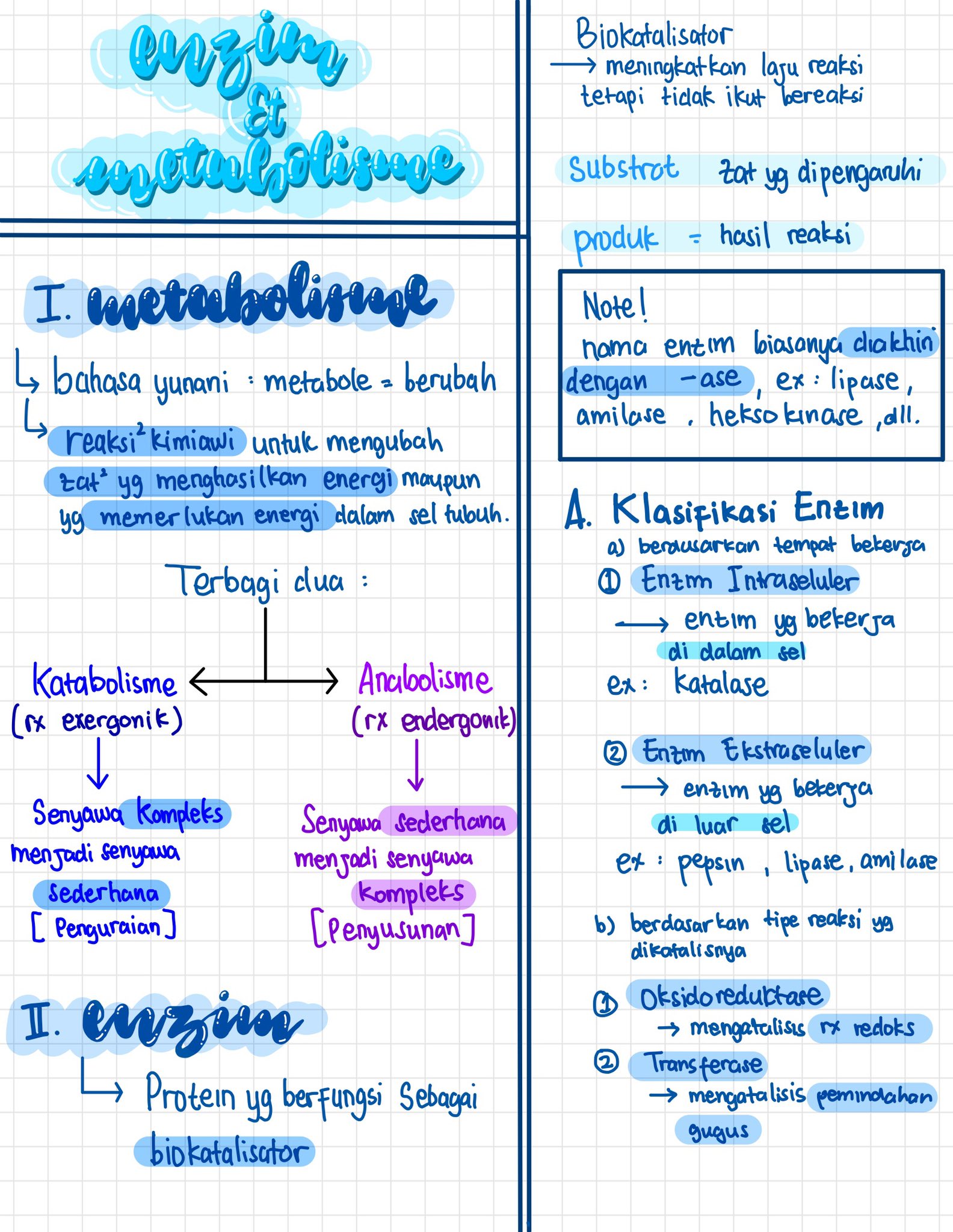 Enzim dan Metabolisme Kelas 12