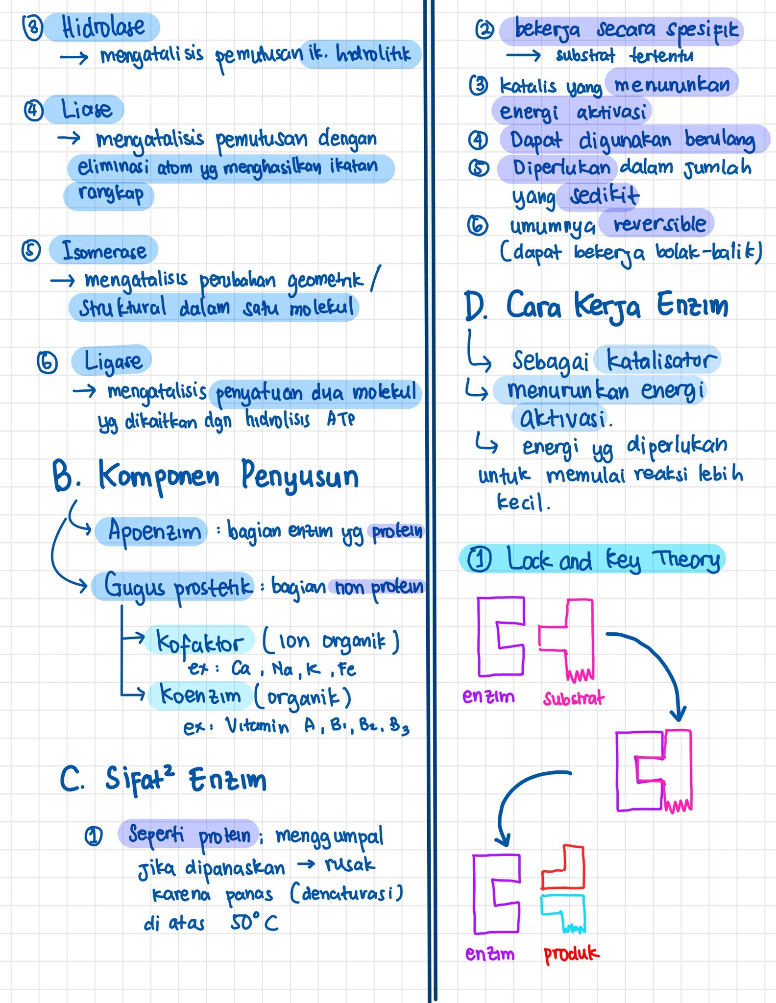 Enzim dan Metabolisme Kelas 12 - halaman 2