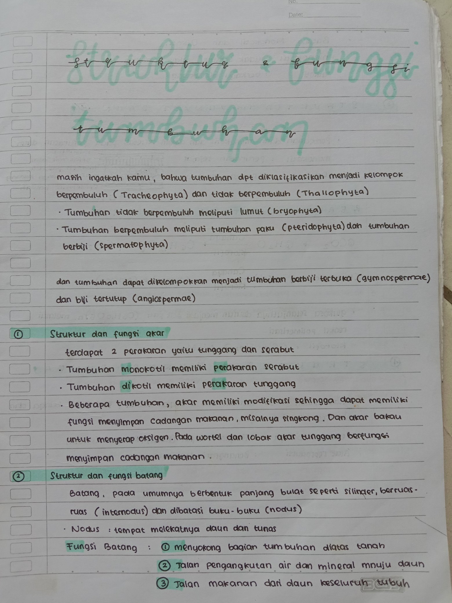 Struktur dan Fungsi Tumbuhan Kelas 8