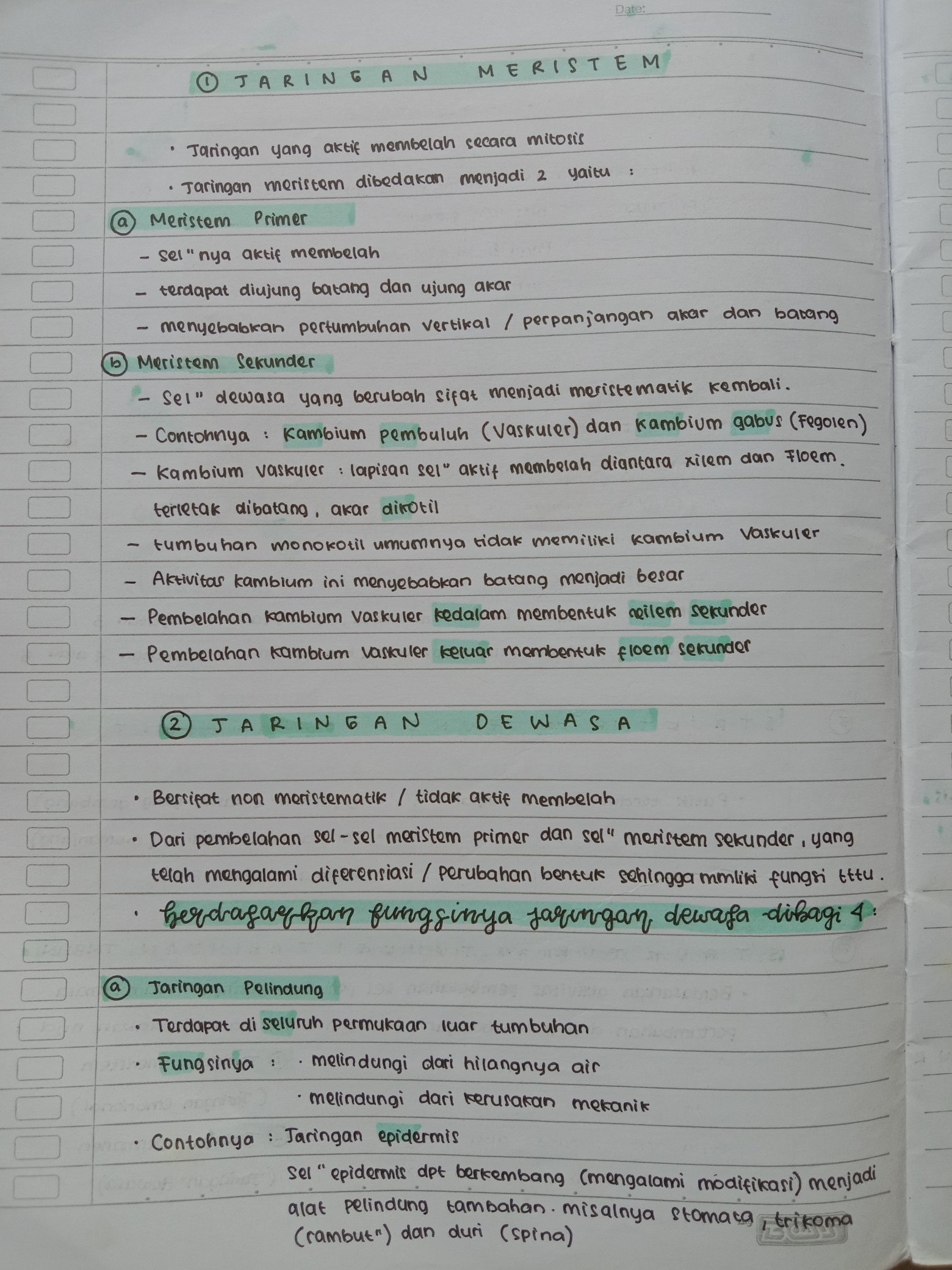 Struktur dan Fungsi Tumbuhan Kelas 8 - halaman 4