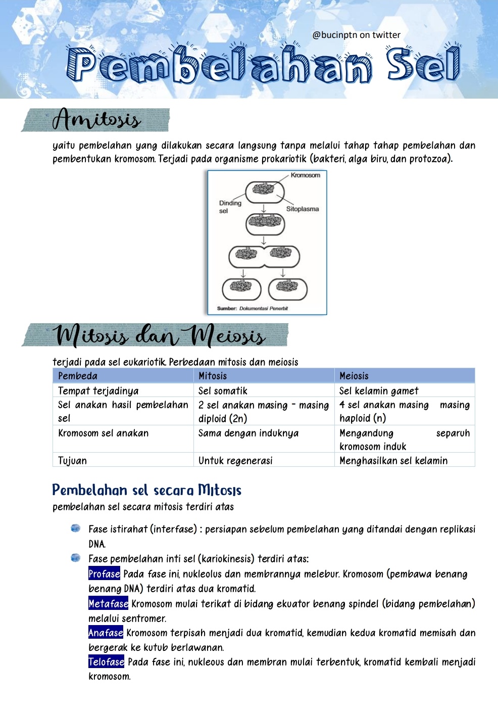 Pembelahan Sel Kelas 12