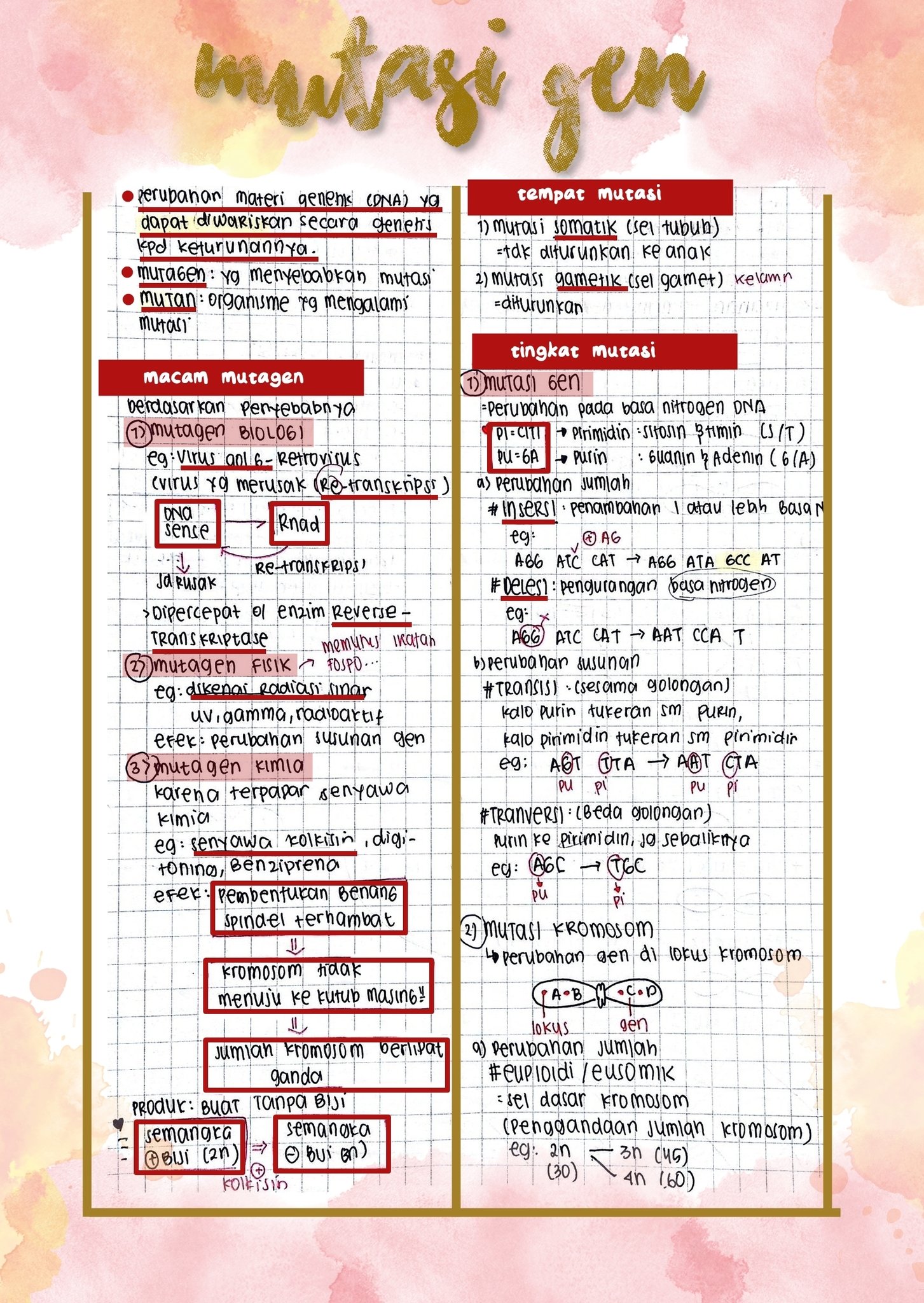 Mutasi Gen – Biologi Kelas 12