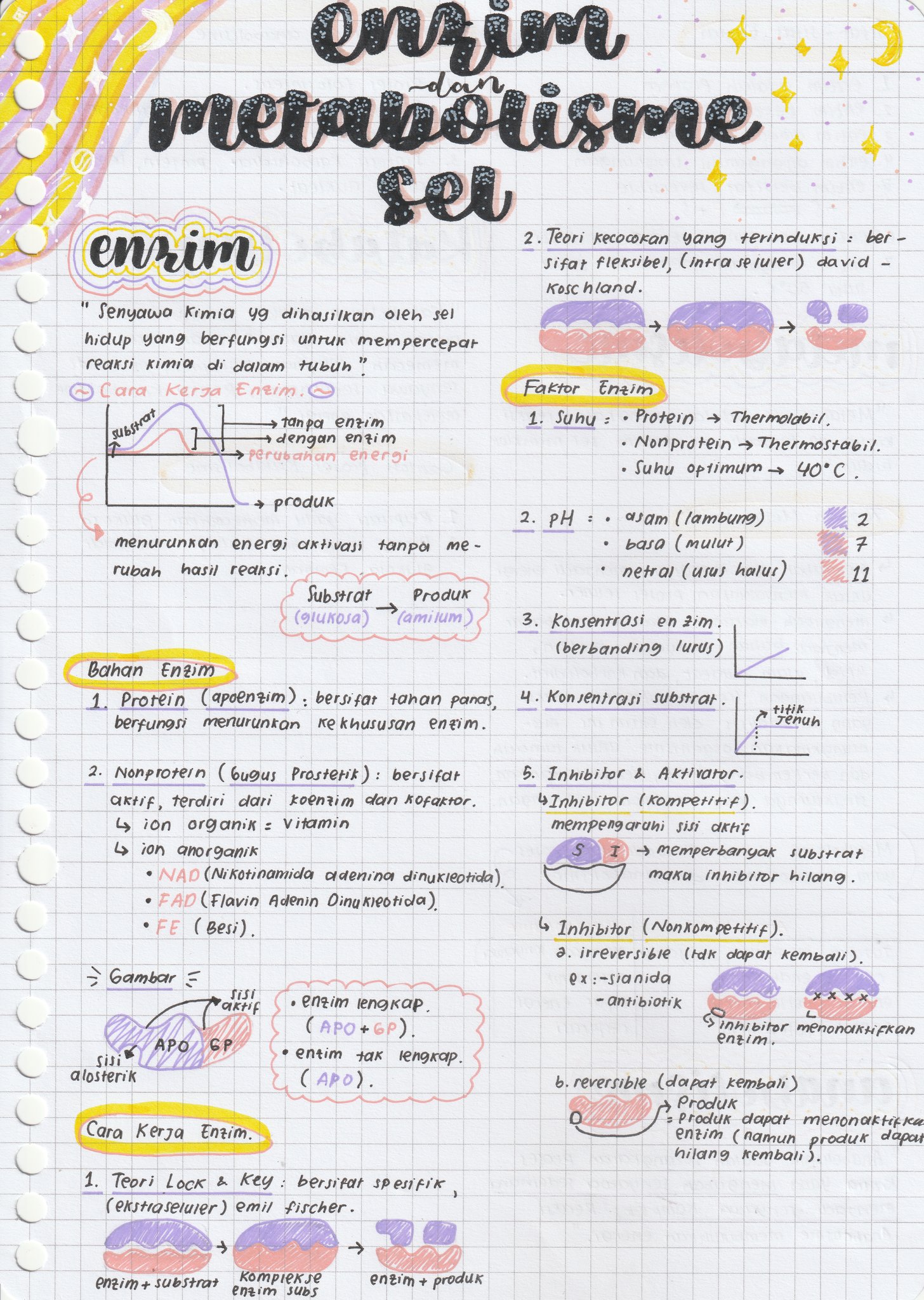 Enzim dan Metabolisme Sel – Biologi Kelas 12